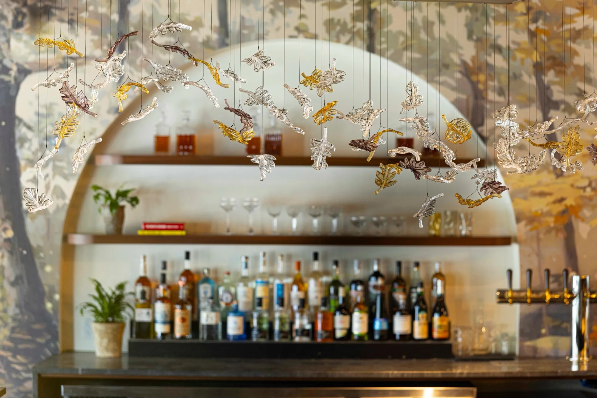 Bar at Urban Hearth